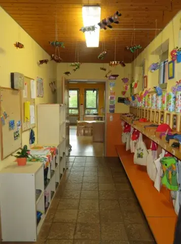Einblick in Schmetterlingsgruppe